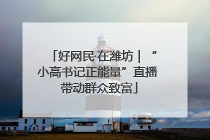 好网民·在潍坊｜“小高书记正能量”直播 带动群众致富